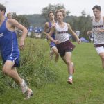 article image - 